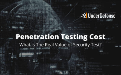 Average Penetration Testing Cost. The Real Value of Security Test