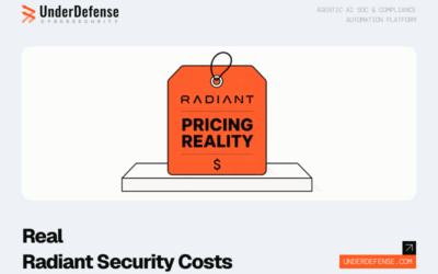 Radiant Security Pricing 2026: Cost Analysis